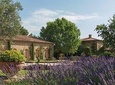 Provence Wine Tour - Private Day Tour from Nice