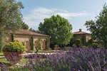 Provence Wine Tour - Private Day Tour from Nice