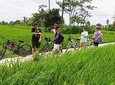 Ubud Cycling and Waterfall Tours