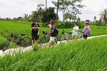 Ubud Cycling and Waterfall Tours