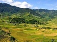 5days 4nights Lan Ha Bay-Sapa-Ninh Binh=>Free Airport Transfer &Street food tour