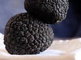 Day Trip: Truffle Hunting With Lunch + Horse Riding + Tasting