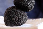 Day Trip: Truffle Hunting With Lunch + Horse Riding + Tasting