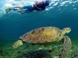 Snorkeling Expedition in Cancun and Riviera Maya (underwater World)