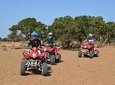 Quad Buggy