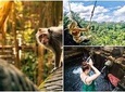Ubud : Monkey Forest - Jungle Swing - Rice Terrace - Water Temple and Waterfall