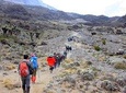 7 Days Kilimanjaro Climb Machame route