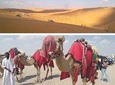 Dune Safari,Sand boarding, Camel ride With BBQ Meal.