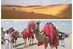 Dune Safari,Sand boarding, Camel ride With BBQ Meal.