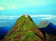 Travel To Adam's Peak In Sri Lanka