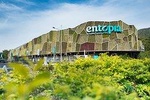 Penang Half Day City Tour Including Entopia Butterfly Farm