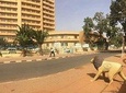 Niger Gerewol Festival 9 Days 8Nights (comfort)