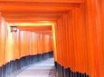 【Fushimi inari shrine】A local born in Kyoto shares the secret path away tourists