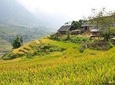 Sapa Trek Experience 2 Days at Homestay