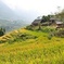 Sapa Trek Experience 2 Days at Homestay
