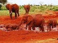 5 Days/4 Nights Kenya Safari