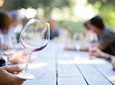  Private Wine Tasting Experience of Greek Awarded Wines in Athens