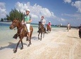 Horseback Riding & West Bay Beach