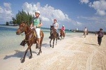 Horseback Riding & West Bay Beach