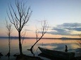 Day Trip: Speedboat Tour Of Lake Trasimeno With Lunch + Assisi Private Tour