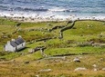 Donegal Gaeltacht Private Tour
