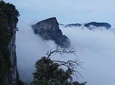 Tianmen Mountain one day tour