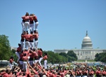 Attend Smithsonian Folklife Festival, Washington, D.C.
