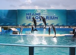 Visit Miami Seaquarium, Florida