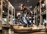 Visit Academy of Natural Sciences of Drexel University, Philadelphia, Pennsylvania