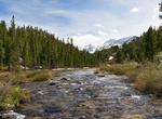 Camp at Lost Claim Campground, Tuolumne County, California