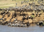 See The Great Migration