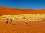 Explore Namib-Naukluft National Park (Namib Desert), Namibia (UNESCO Site)