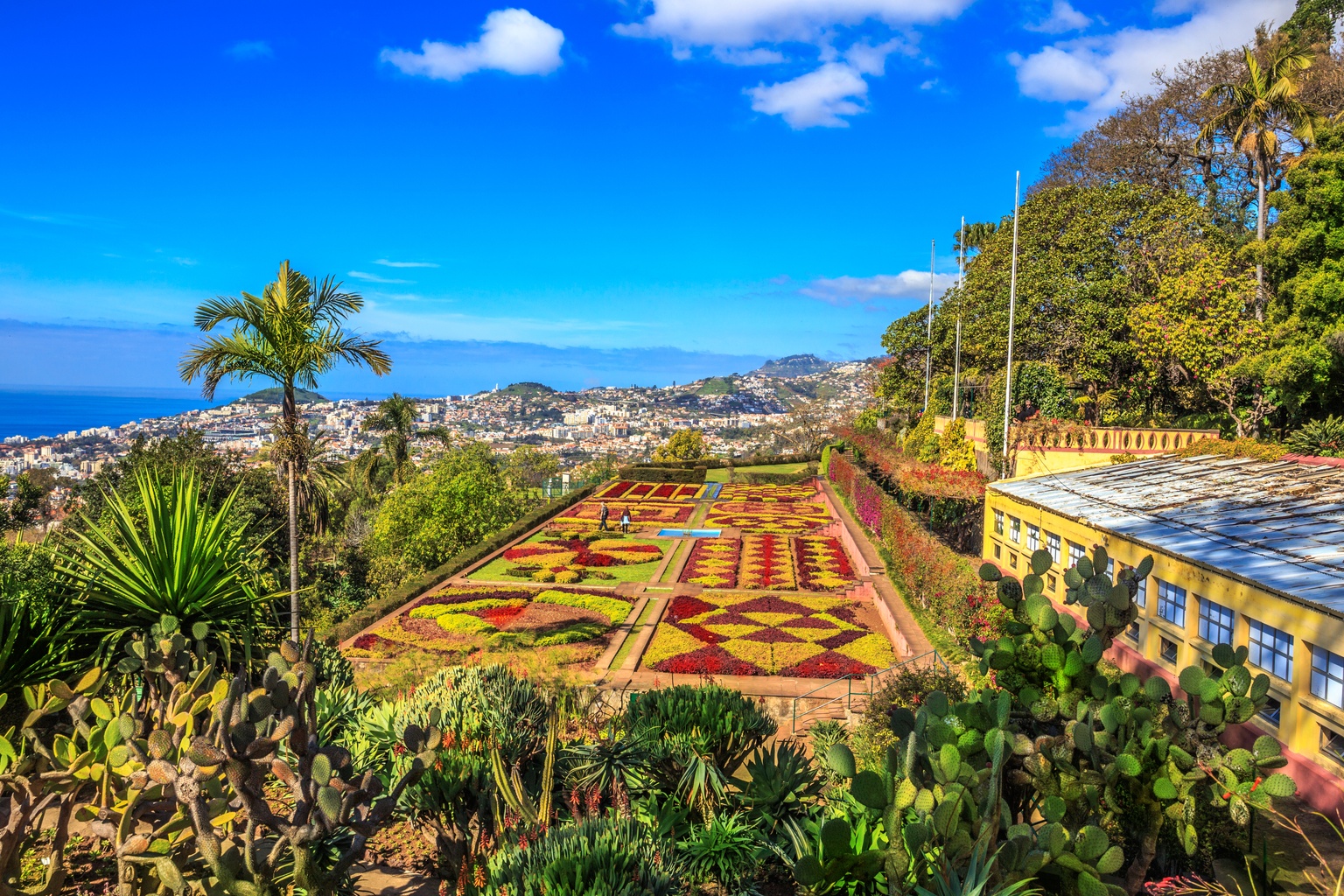 madeira-botanical-garden-louro-bird-park