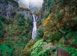 Hike to Levada das 25 Fontes & Risco, Madeira, Portugal