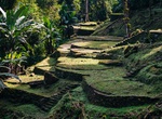 Visit Ciudad Perdida (Lost City), Colombia