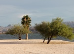 Visit Windsor Beach (Lake Havasu), Lake Havasu State Park, Arizona