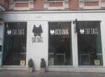 Visit Cat Cafe, Vilnius, Lithuania