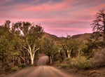 Explore Parachilna Gorge, South Australia