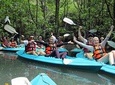 Langkawi Mangrove Kayaking Tour