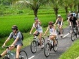 Rice Paddy Cycling Tour