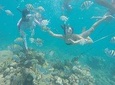 Snorkel and Mangroves with Lunch and FREE Underwater Pictures