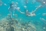 Snorkel and Mangroves with Lunch and FREE Underwater Pictures