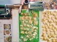 Ravioli Making Lunch or Dining Experience and Cooking Class in Avon Cres