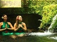 Bali Holy Bath and Jungle Swing Private Day Trip