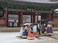 3 Day Essential Tour-Seoul City, Nami, Petite, Garden of Morning Calm, Everland