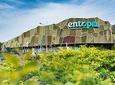Entopia Butterfly Farm And Tropical Spice Garden Tour
