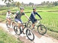 Kintamani Bike Tour