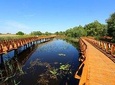 Stunning Kopacki Rit Nature Park Full-day Private Tour from Zagreb