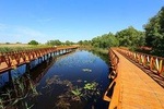 Stunning Kopacki Rit Nature Park Full-day Private Tour from Zagreb
