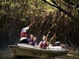 Langkawi Mangrove Forest Tour